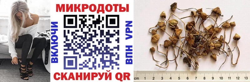 Галлюциногенные грибы мухоморы  хочу наркоту  Тайга 